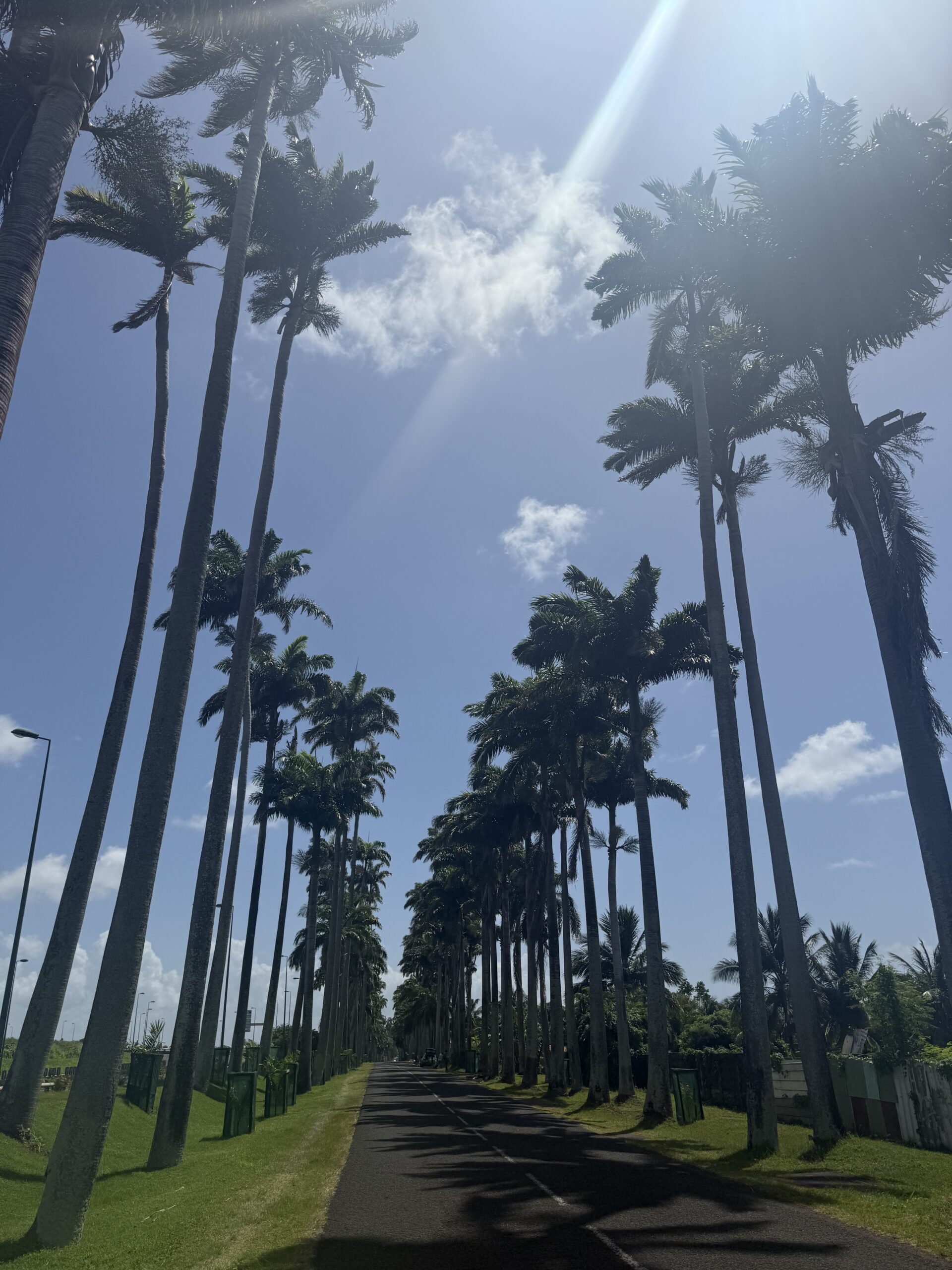 Ce que les Antilles disent du leadership – Introduction